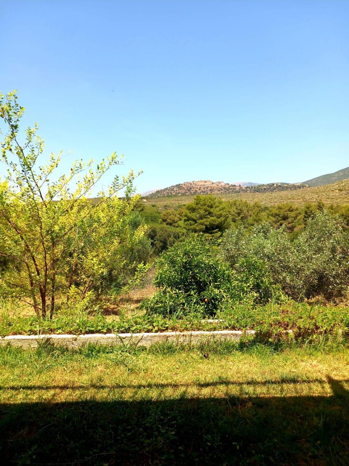 4T Apartments Argostoli  Bagian luar foto