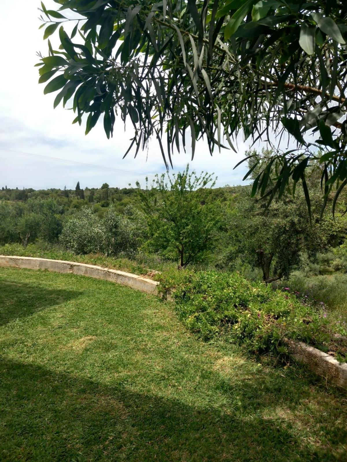 4T Apartments Argostoli  Bagian luar foto